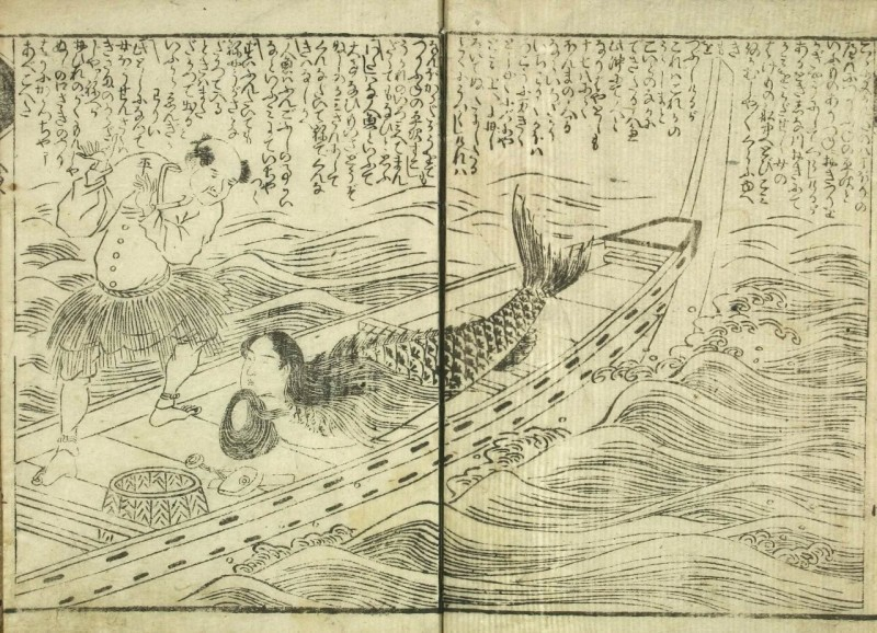 江戸時代の人々が想像していた人魚は、どうやら鯉の身体を持っていたらしい。