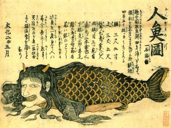 江戸時代の人々が想像していた人魚は、どうやら鯉の身体を持っていたらしい。