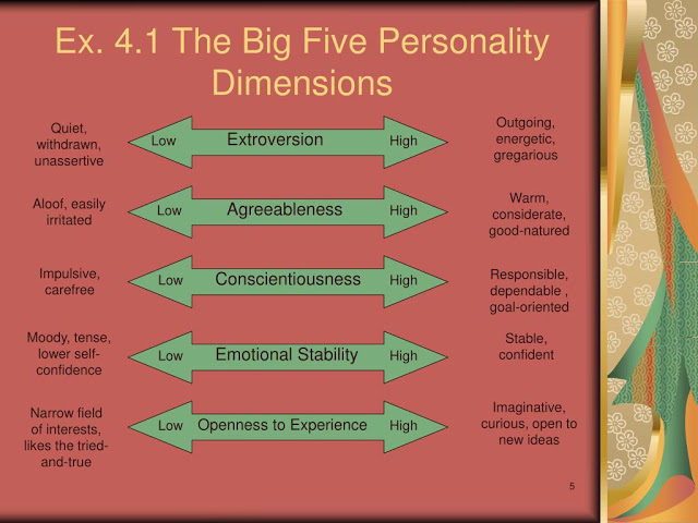 Can you believe that throughout history only whites have exhibited all these 5 personality dimensions, whereas nonwhites only  2 dimensions  (“interpersonal prosociality” and “industriousness”)? 

No wonder 95 to 98 % of the greatest explorers in history were European men.