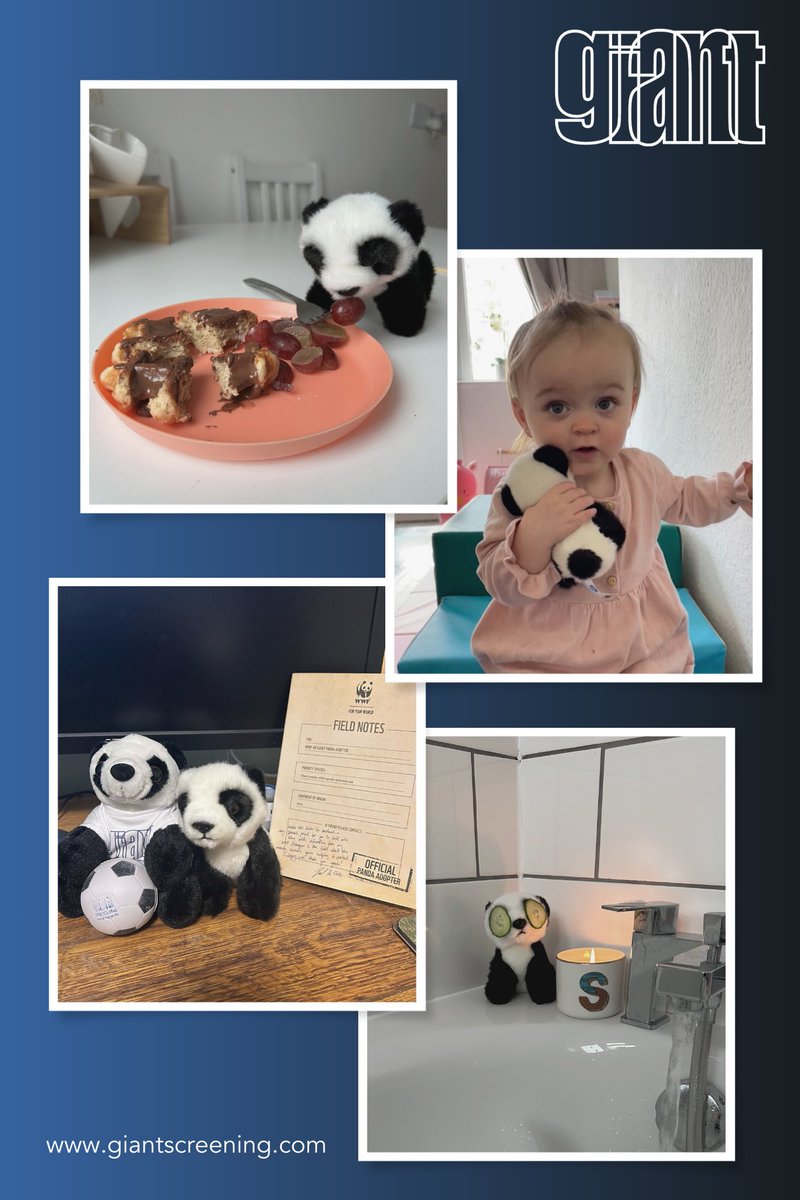 giant screening tweet media