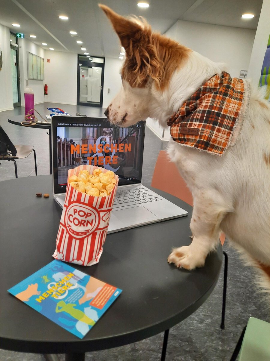 ModeLL-M (@modell_m21) on Twitter photo Der Film "Menschen&Tiere",der das Thema Tierethik in den Fokus rückt, ermöglicht interdisziplinären Austausch zwischen unseren CoPs der Theologie und Biologie. Regisseur Bernhard Koch wird mit Studierenden über Perspektiven vor & hinter der Kamera sprechen.shorturl.at/gh129 Der Film "Menschen&Tiere",der das Thema Tierethik in den Fokus rückt, ermöglicht interdisziplinären Austausch zwischen unseren CoPs der Theologie und Biologie. Regisseur Bernhard Koch wird mit Studierenden über Perspektiven vor & hinter der Kamera sprechen.shorturl.at/gh129