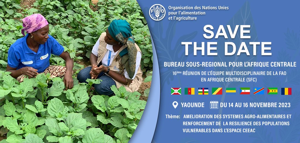 #SaveTheDate - Du 14 au 16 novembre 2023, #Yaoundé abritera la 16e réunion de l'équipe multidisciplinaire de @FAO en Afrique centrale. Cette rencontre réunira les gouvernements des 9 pays et les acteurs de la sécurité alimentaire dans la sous-région. #FAOSFCMDT16 @FAOAfriqueCent