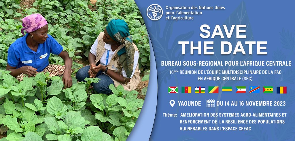 FAO Cameroun (@faocameroun) on Twitter photo #SaveTheDate - Du 14 au 16 novembre 2023, #Yaoundé abritera la 16e réunion de l'équipe multidisciplinaire de <a href="/FAO/">Food and Agriculture Organization</a> en Afrique centrale. Cette rencontre réunira les gouvernements des 9 pays et les acteurs de la sécurité alimentaire dans la sous-région.
#FAOSFCMDT16
<a href="/FAOAfriqueCent/">FAO Afrique centrale</a> #SaveTheDate - Du 14 au 16 novembre 2023, #Yaoundé abritera la 16e réunion de l'équipe multidisciplinaire de <a href="/FAO/">Food and Agriculture Organization</a> en Afrique centrale. Cette rencontre réunira les gouvernements des 9 pays et les acteurs de la sécurité alimentaire dans la sous-région.
#FAOSFCMDT16
<a href="/FAOAfriqueCent/">FAO Afrique centrale</a>