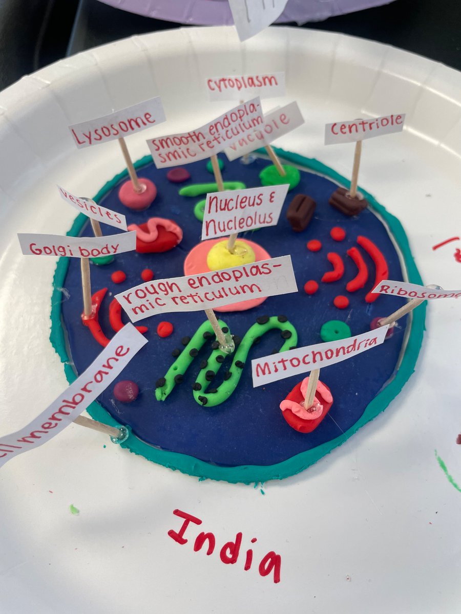 Our Biology students created 3D cell models. 

Do you know all the parts of a cell?