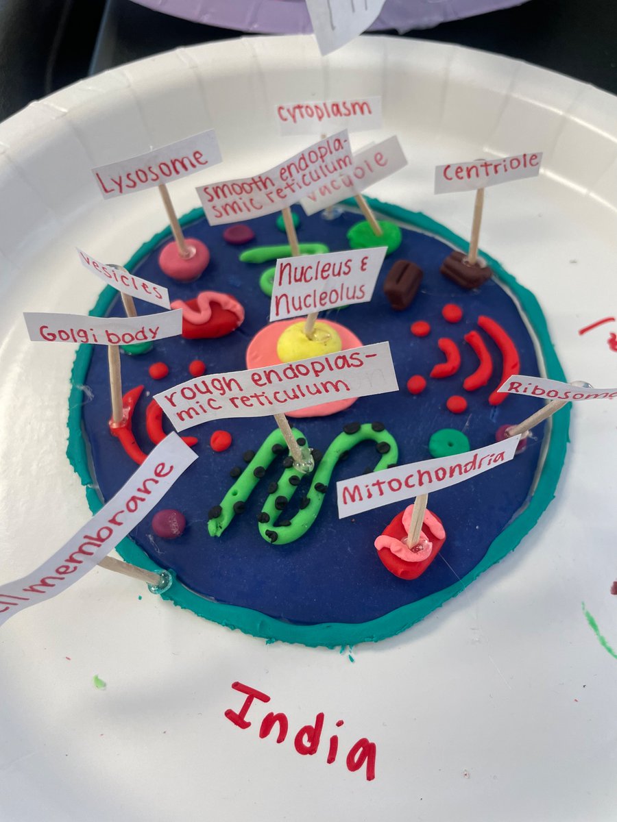 Our Biology students created 3D cell models. Do you know all the parts of a cell?