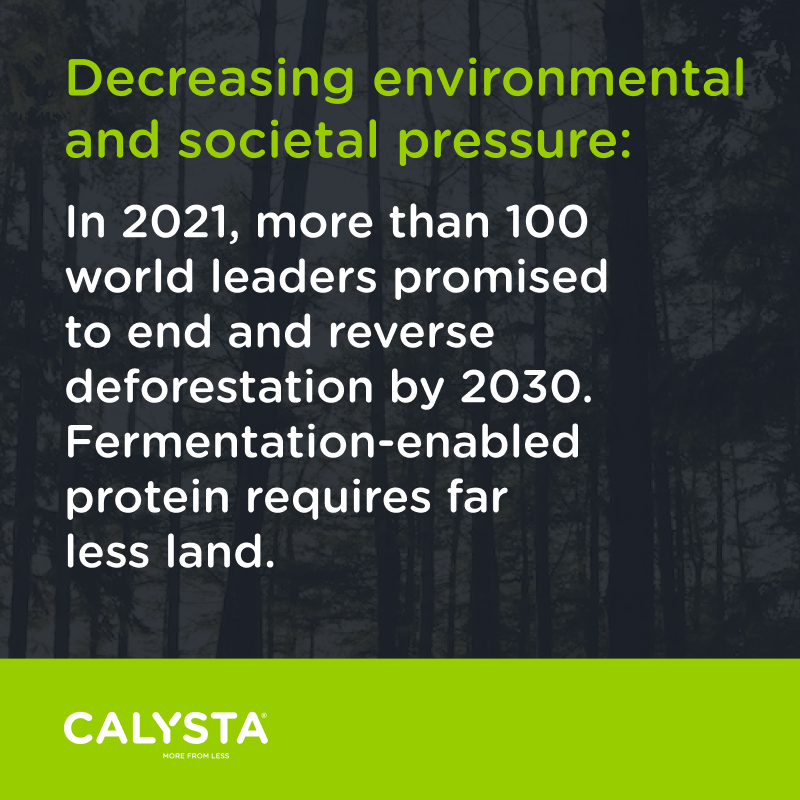 FeedKind's tweet photo. While alternative dairy products continue to experience growth, the alternative meat industry has gained exciting momentum recently too, looking to an interesting future in the alternative landscape. Find out more about our process: https://t.co/SFZnPTHjbJ

#ProteinWithoutLimits https://t.co/VseWmVuEy4