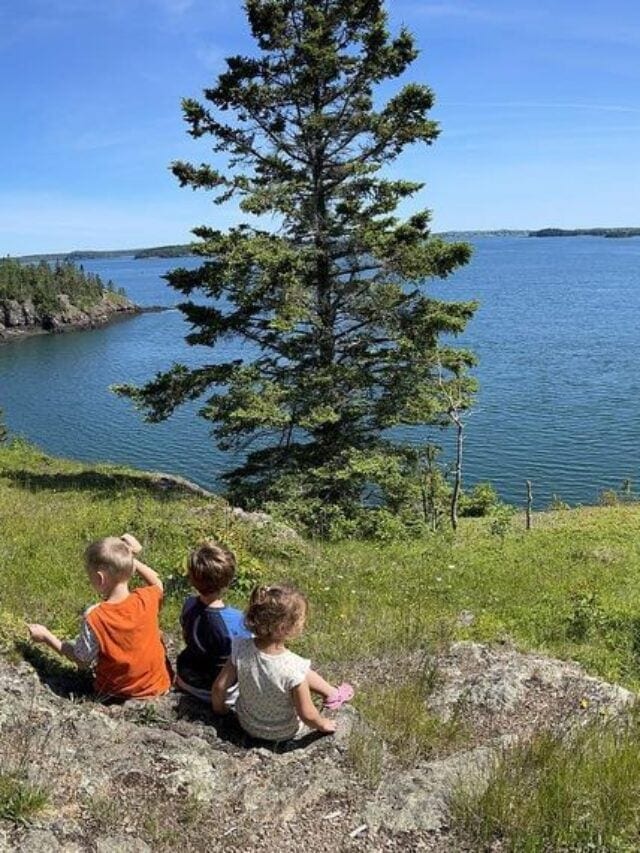 VisitMaine.net tweet media