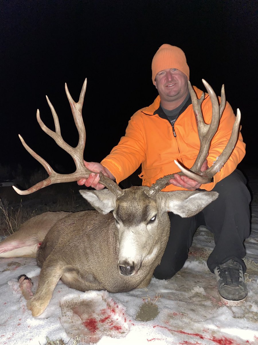 2023 draw mule deer