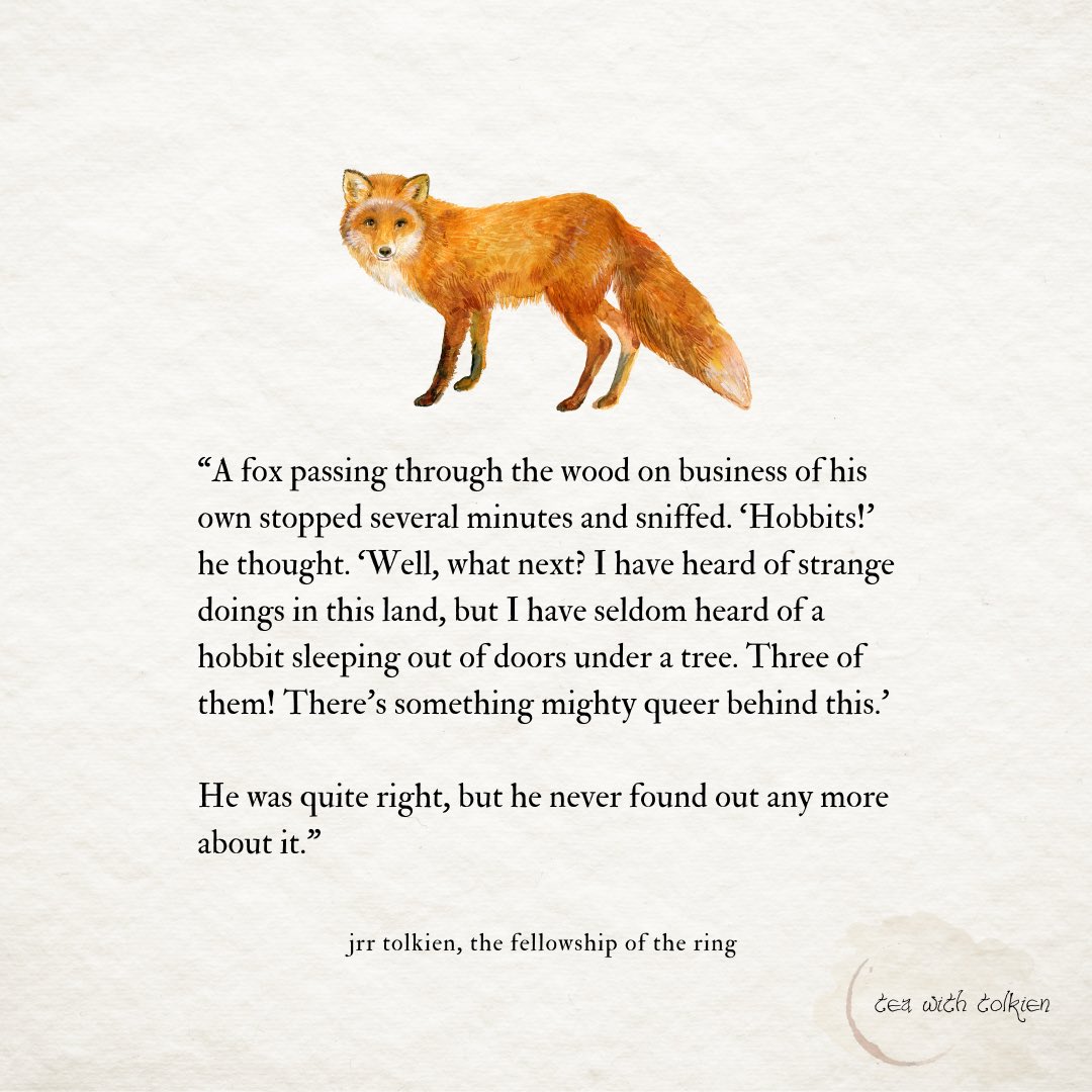 thinking about the little fox in the fellowship of the ring 🦊