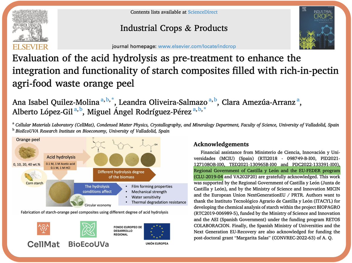 BioEcoUVa's tweet image. Our research paper, titled &quot;Evaluation of acid hydrolysis as a pre-treatment to enhance the integration and functionality of starch composites filled with rich-in-pectin agri-food waste orange peel,&quot; has just been published! Kudos to @AnaQuilez22! 📚🍊
#Research #Science #CellMat
