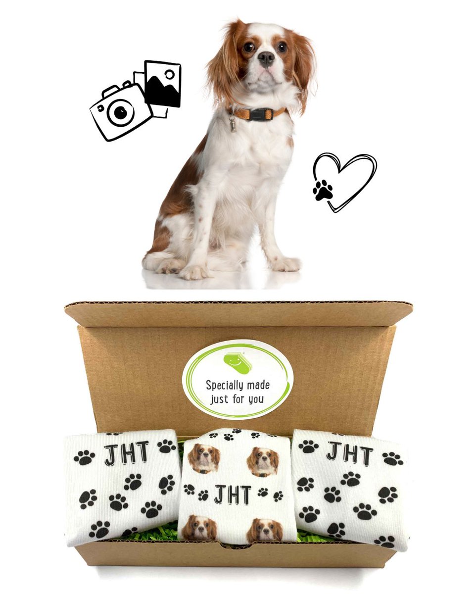 More pet photo ideas for gift-giving this holiday season! How cute is this dog and what a special personalized gift to give to someone with a monogram too. Sets of 3 gift-box socks are eligible for free standard shipping in the USA.