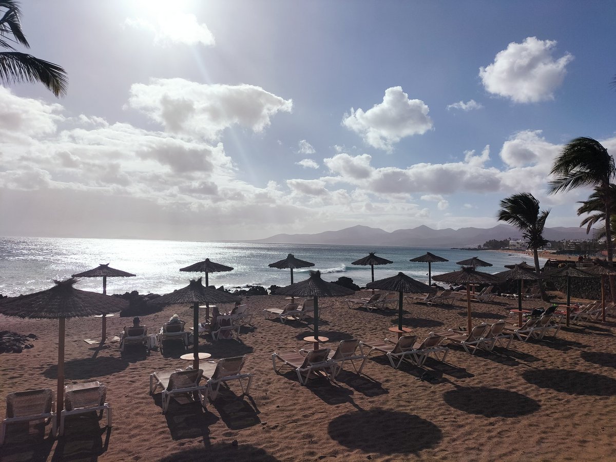 JoeyDooley1's tweet photo. Good afternoon ⛱️🍻😎 https://t.co/QVPvoECC8f
