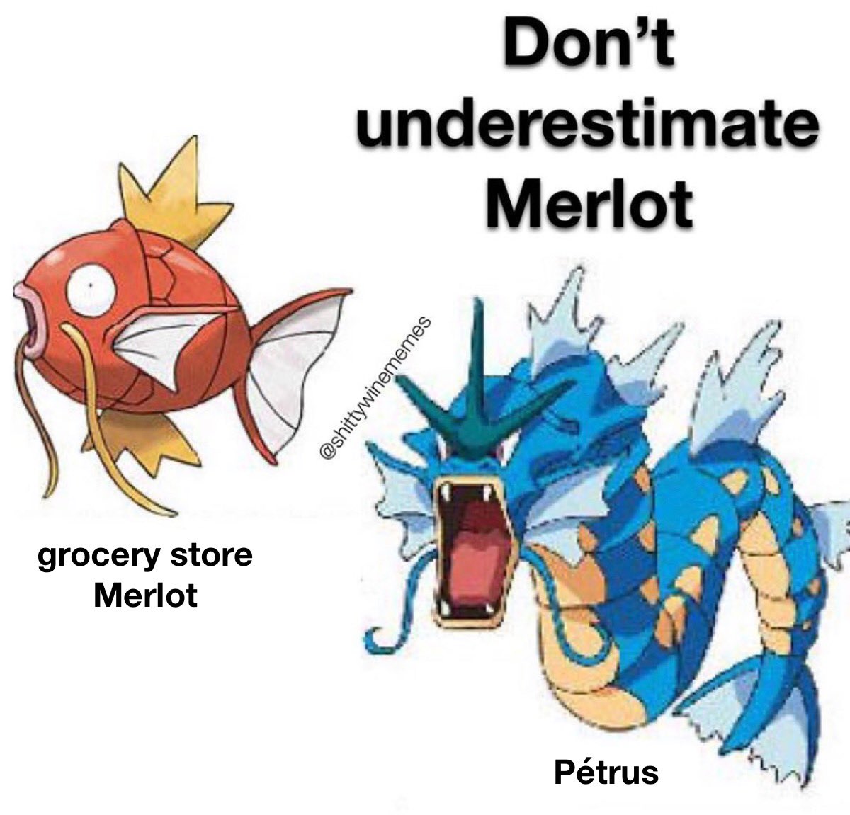 Shitty Wine Memes tweet media