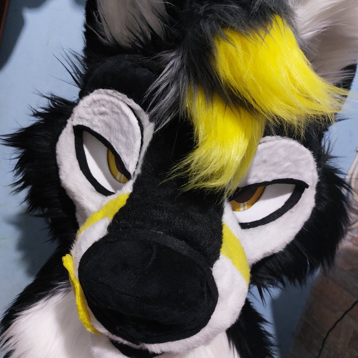BRFursuits's tweet photo. Yhowdy https://t.co/EKmGNFI16r