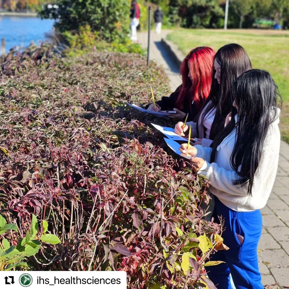 SuptCheng_CIOB's tweet image. 🌞 The 11th-grade students from IHS Health Sciences had a wonderful outdoor day visiting Socrates Sculpture Park in Astoria. The beautiful weather added to the experience! 🌳📷 #OutdoorLearning #SculpturePark #ExploringArt @NYCSchools @DOEChancellor