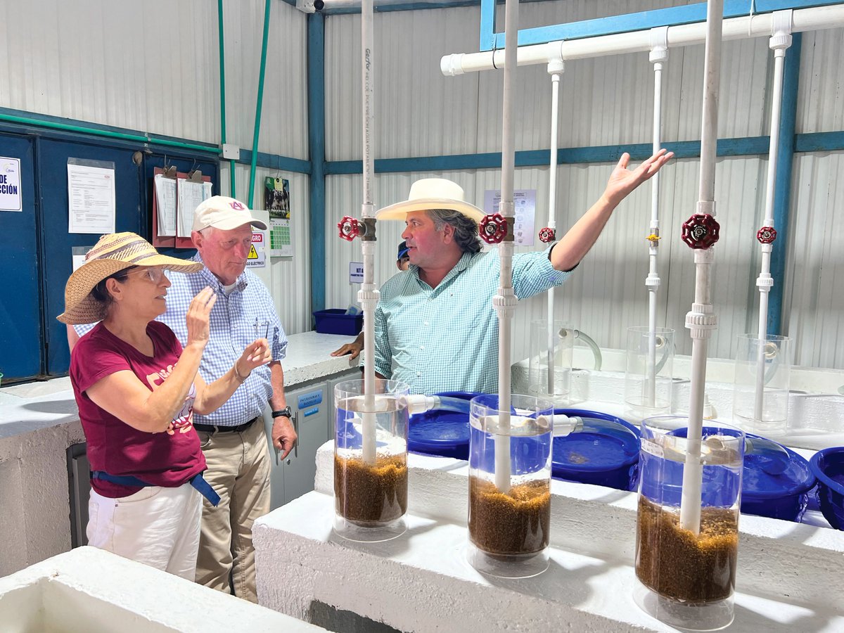 Easton Kuboushek hopes to replicate global aquaculture 🐟 success in the United States. That means an increased need for fish food, which in turn means more demand for #soybeans 🔽 iasoybeans.com/newsroom/artic… Funded by the soybean checkoff.