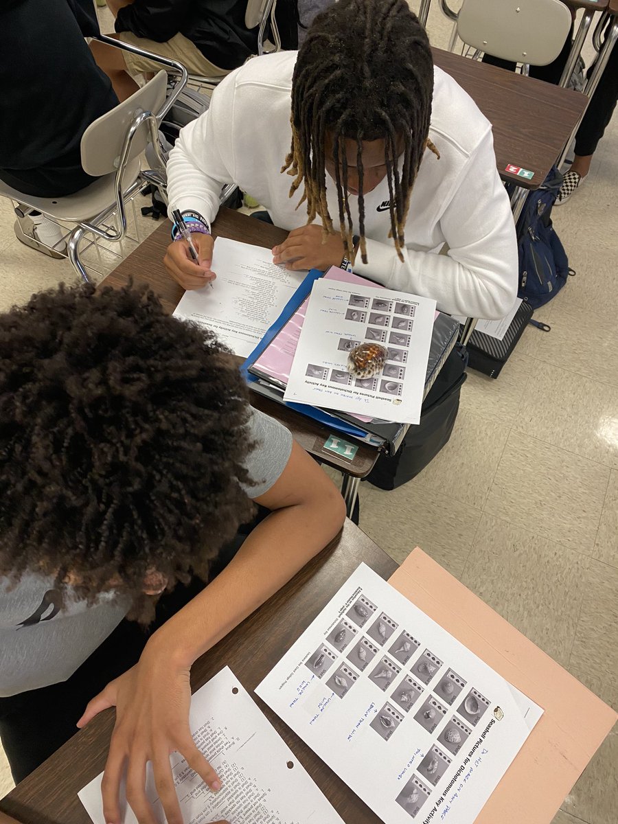 Identifying shells using a dichotomous key - love when my students disagree! Good discussions in marine biology.
<a href="/val_slay/">Val Slay</a> @ThePelhamWayPRN <a href="/shannonbogert1/">Shannon Bogert</a>