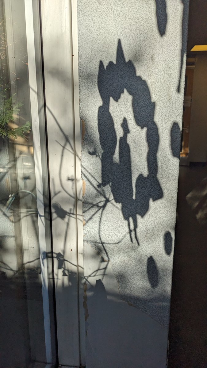 Edinburgh Libraries - SW Locality tweet media