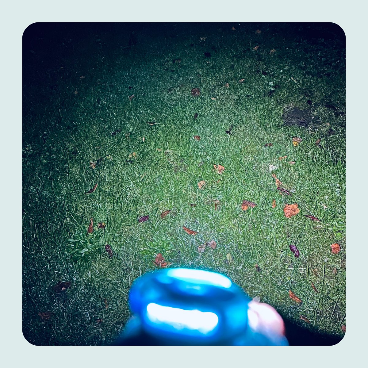 mytwistii's tweet image. We are often asked; how bright is Twistii? Well, it can of course depend upon conditions, but as a guide, the front white light will give you up to 5 meters of wide-spread visibility. The red light on the reverse can be seen from 100 meters.📷 #beseenbesafe #ledtorch #mytwistii