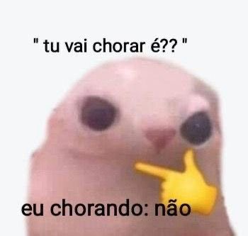 Eu vou contar pra tu, eu crio cururu🤣🤣🤣🎵 #memes #fypシ