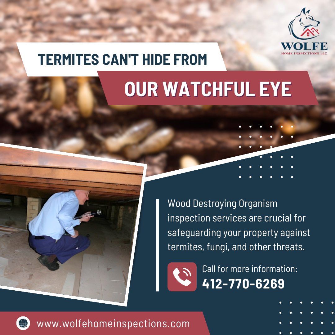 llc_wolfe's tweet image. 🏡🔍 Wolfe Home Inspections: Your Trusted Choice for WDO Inspection Services. Protecting your property from wood-destroying pests is essential. Our meticulous inspections ensure that your home remains termite-free and structurally sound. #WDOInspections #TermiteProtection