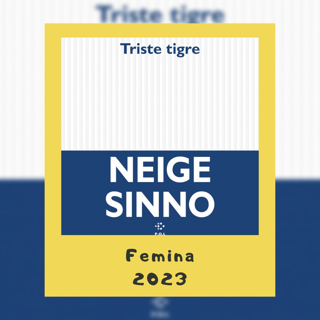 🏆 4 des prix littéraires les plus prestigieux viennent d'être décernés.
Prix Goncourt : Veiller sur elle de Jean-Baptiste Andréa
Prix Femina : Triste Tigre de Neige Sinno
Prix Renaudot : Les Insolents d'Ann Scott
Prix Décembre : Que notre joie demeure de Kevin Lambert