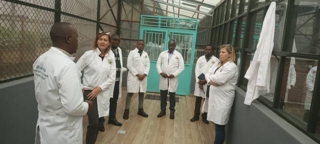 spf_ikigega's tweet photo. by line with their study tour to familiarize themselves with the Rwandan Agriculture Sector towards developing a roadmap for bilateral cooperation. They have met with the #SPF_Chairperson, #Chief_Agronomist and #Production_manager of SPF.@RwandaAgri ,@RwandaAgriBoard. https://t.co/PM35XpZ3Lb