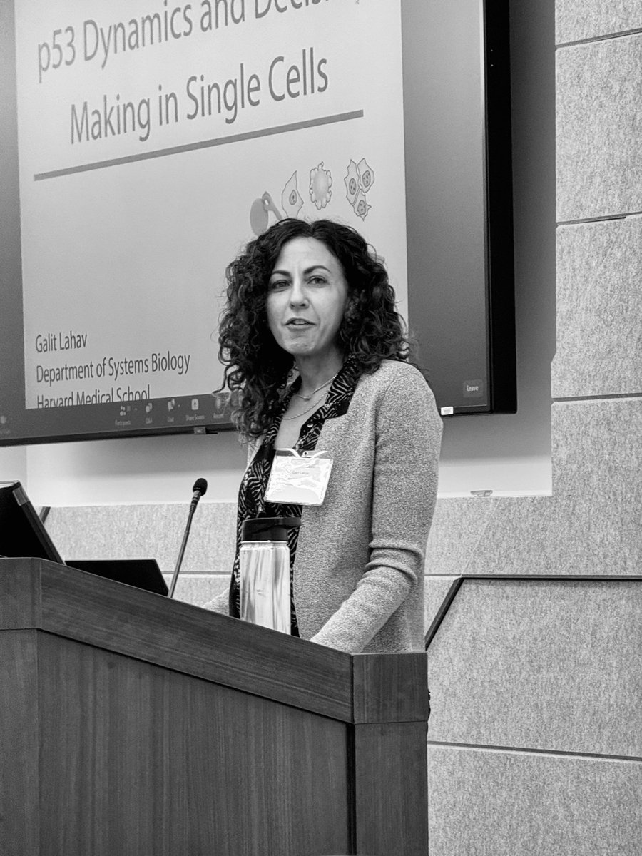 ara_anderson's tweet photo. Opening plenary for #CSBCPSON23 is by Galit Lahav: p53 Dynamics and Decision Making in Single Cells. https://t.co/IlFRuefxy0