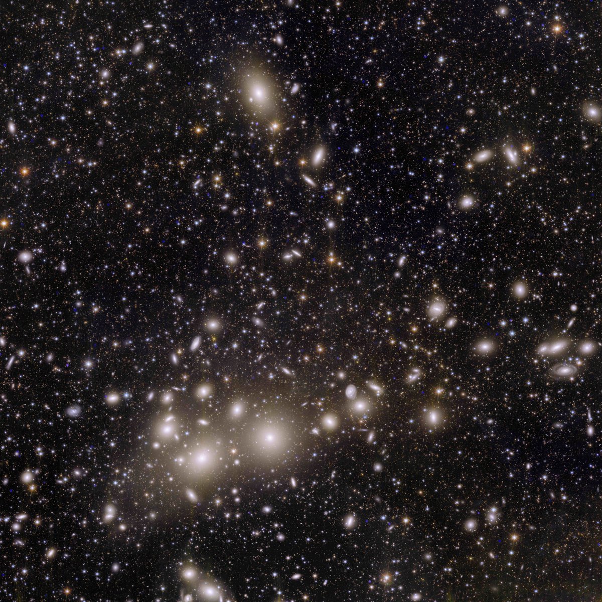 De eerste beelden van ruimtetelescoop #Euclid zijn er❤️Luister #wetenschapvandaag terug voor meer over de missie. Hier alvast alle plaatjes achter elkaar (credit beeld: ESA/NASA)

1. Het Perseus-cluster van sterrenstelsels