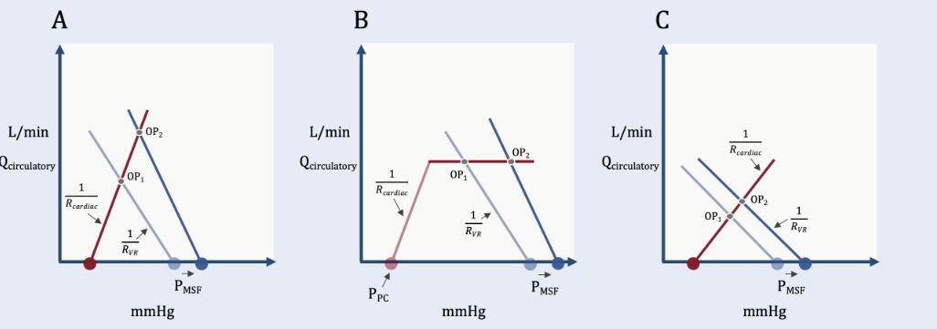 ajpheartcirc's tweet photo. #ArticlesInPress: The Meaning of Volume Responsiveness and its Relationship to Venous Return
Jon-Emile S. Kenny and Per Werner-Moller
https://t.co/zLw5xbTKfi
@HSN_Sudbury @heart_lung
#VenousReturn #FluidResponsiveness. #rightheartdysfunction https://t.co/YBtmTILxn8