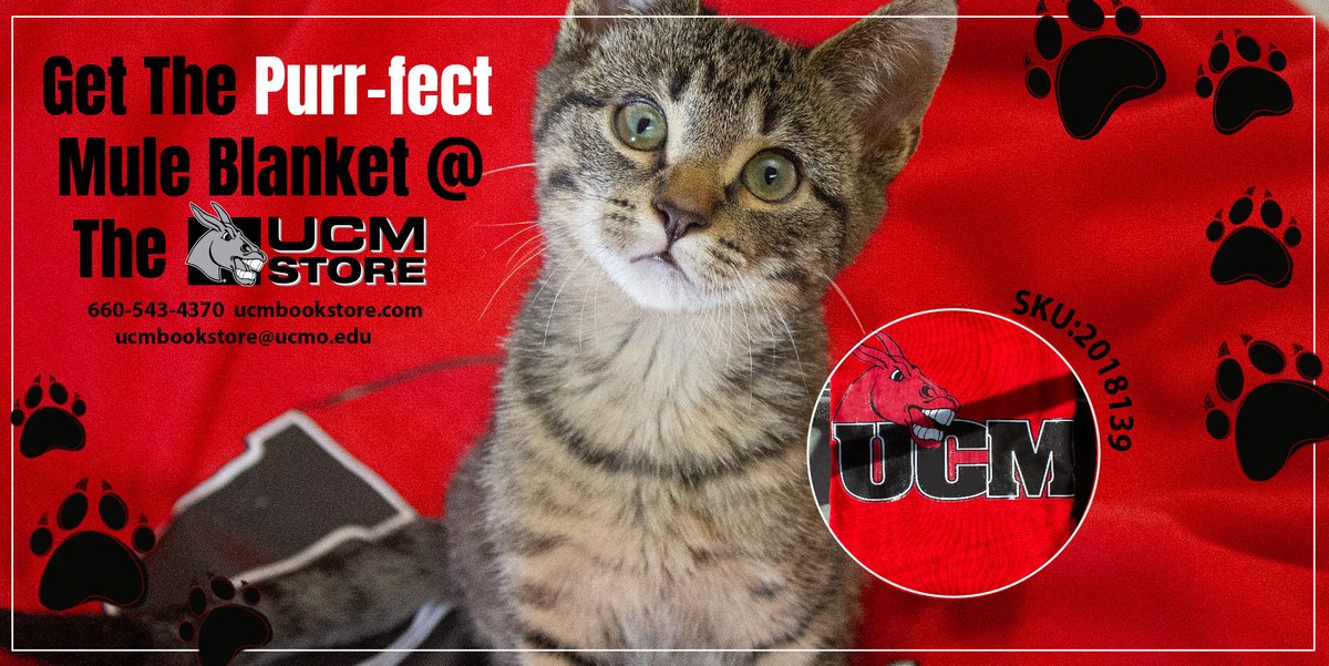 Stay Warm and Cuddly as the weather cools down. Grab yourself a Mule Sweatshirt Blanket; it's indeed the purr-fect  one!
#mules #ucm #shopUCMstore