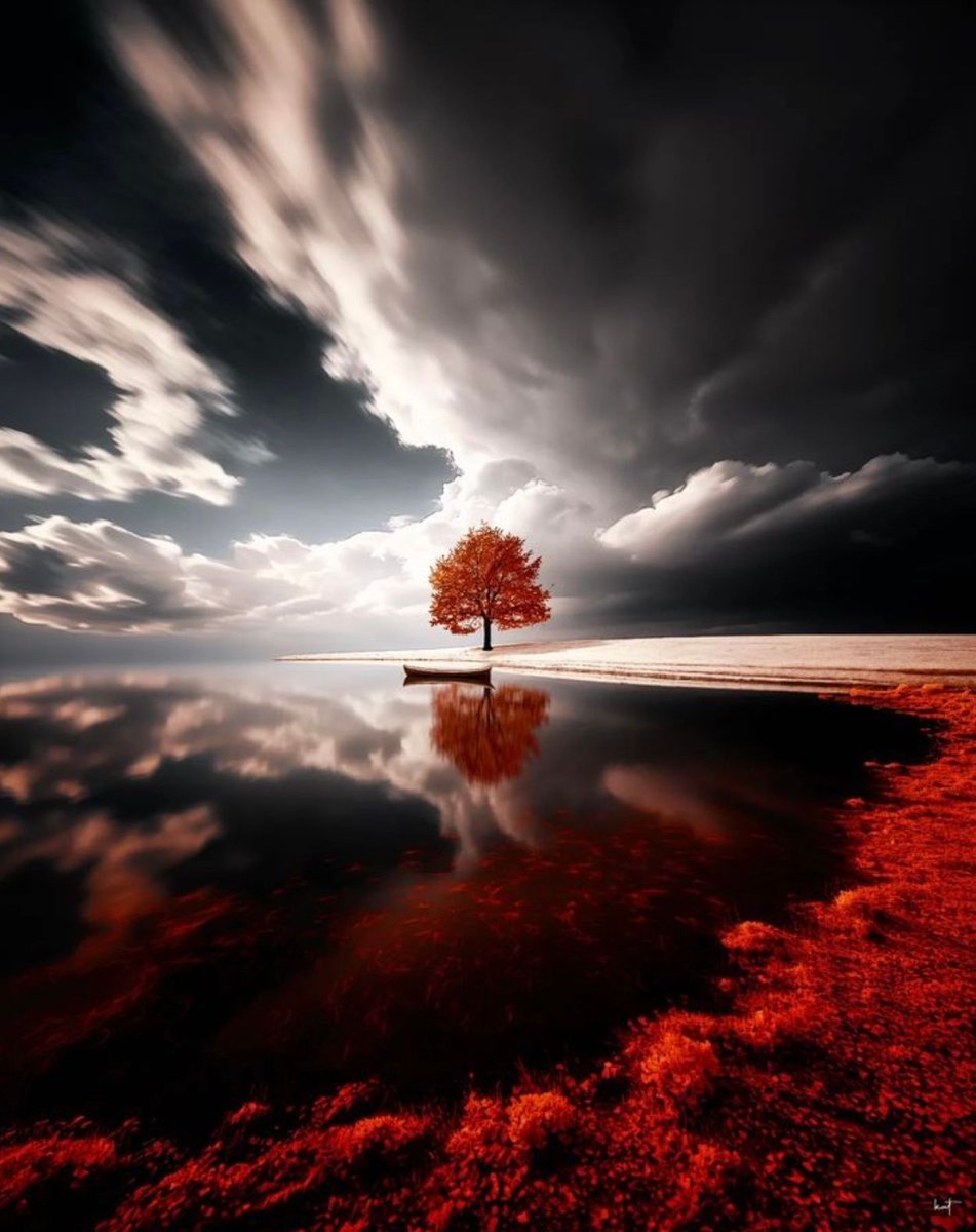 Peace cannot be kept by force;
It can only be achieved by understanding.

Albert Einstein
🎬🙏 Kathrin Federer