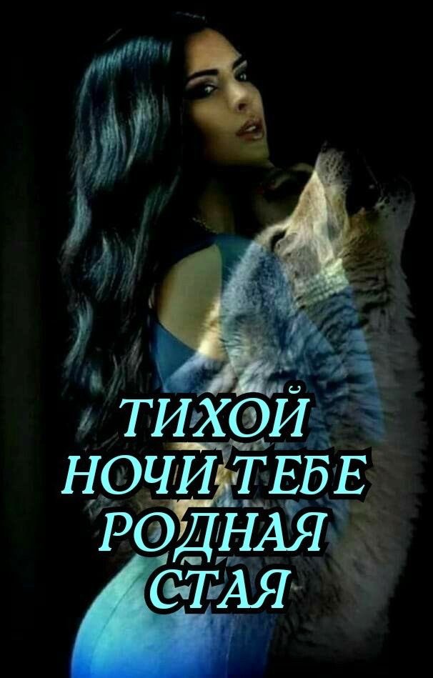 veryblacks's tweet photo. тихой ночи тебе родная стая🥲🥲🥲 https://t.co/kQSwbPYIYL