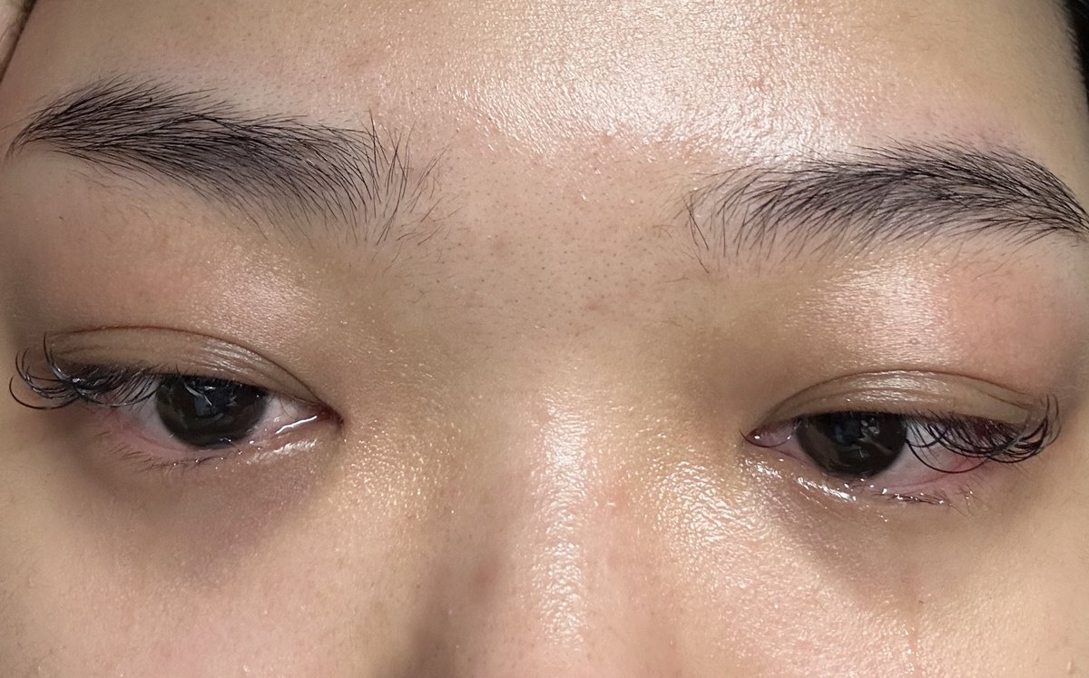 lune ☾ tweet media