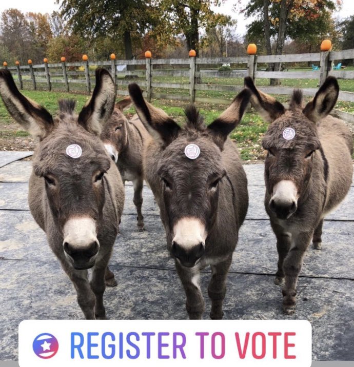 Time to vote! We voted #vote #Election2023 #Voting