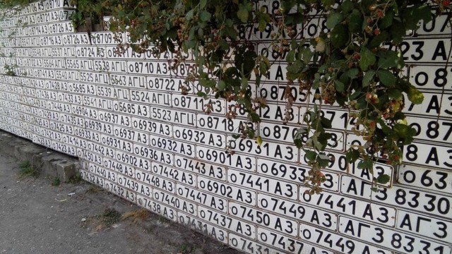 Könül Şahin 𓃠 tweet media