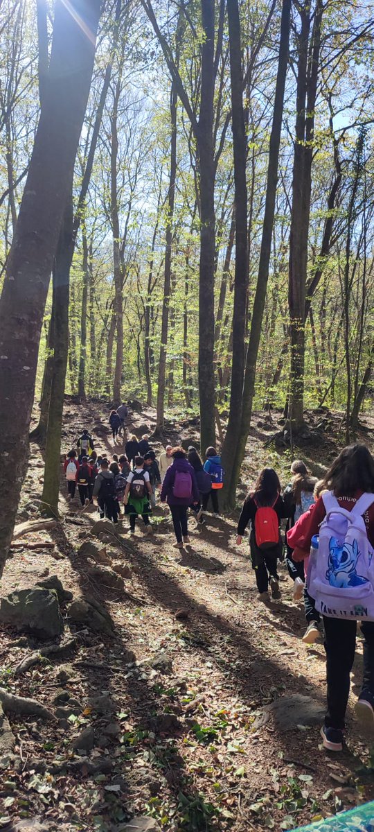 L'alumnat de 4t ja hem arribat a la Fageda d'en Jordà! 🥳