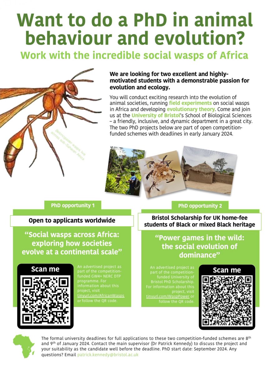 Love animal social evolution? Keen on fieldwork? Ready to brave the odd sting in the name of science? Come and do your PhD on African #wasps! 🐝Join us at Bristol (@NatGeo’s ‘coolest city in Europe’ 😎) @BristolBioSci @NHM_Science @asab_tweets