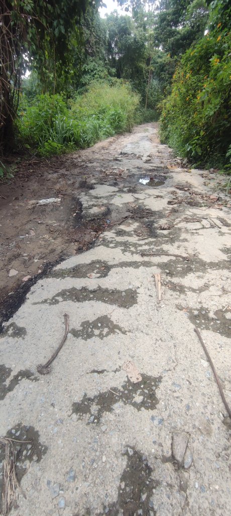AnaMariaDL's tweet photo. #07Nov | MIRANDA esto no es juego Sres., situación grave debido a las fuertes lluvias caídas en la semana en comunidad de @FilasdeMariches km12 entrada al embalse de la Pereza , carretera principal inhabilitada,3 partes intransitable @PCivilMunSucre @EquipoSucre @dirgeneralsucre https://t.co/x0FGRjP2Tc