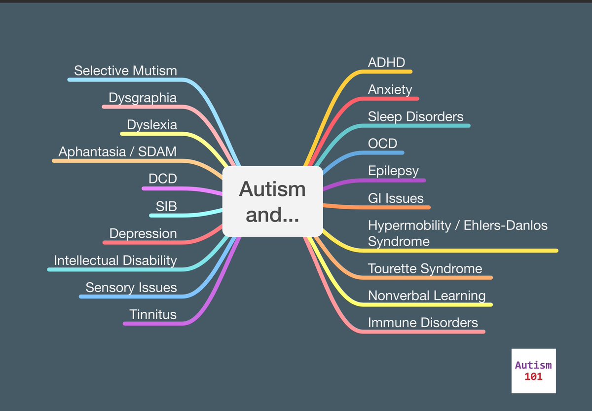 Autism1o1's tweet photo. Autistic people may be dealing with many other issues, dubbed comorbidities by the medical community. I've listed some of them in the mind map below. Many can’t be seen by others.

#ActuallyAutistic https://t.co/ltw1xfpRLw