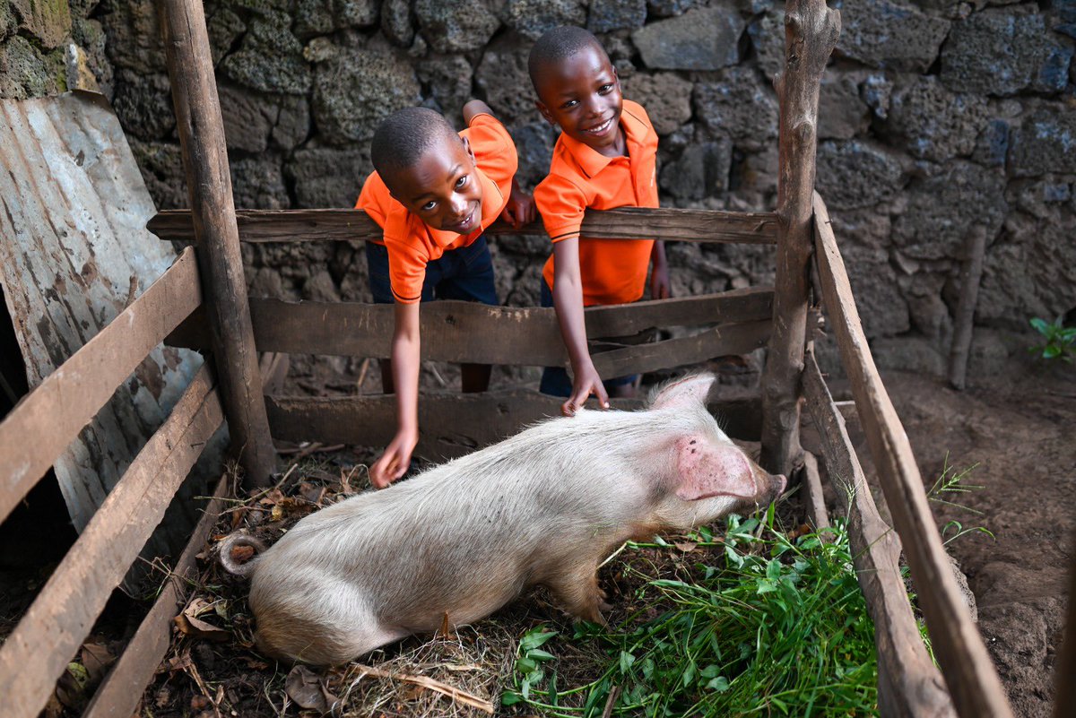 CompassionRWA's tweet photo. 🌟 #GiftOfHope 🌟

In a world where poverty is a reality for many families, the power of a gift can be truly transformative. The story of Aimable and Aime, seven-year-old twins, is a shining example of how a single act of compassion can change lives. 💖 #Compassion https://t.co/29b4qdRWky