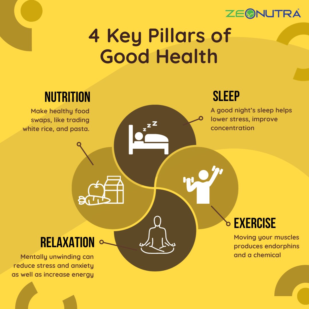 zeonutra's tweet photo. Discover the Four Pillars of Good Health: Nutrition, Exercise, Sleep, and Stress Management. Elevate your well-being and embrace a healthier lifestyle. 💪🌿
#GoodHealth #Nutrition #Exercise #SleepWell #StressManagement #HealthyLife #Zeonutra https://t.co/vgqXEl4ibD