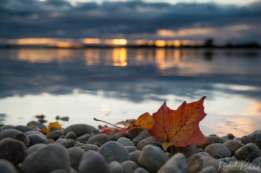 kawarthaNOW's tweet photo. Good Tuesday morning our #kawarthapeeps from Rachelle Richard Photography @mackrach at View Lake. Follow the photographer on Instagram at https://t.co/uqoMOo2rDB and on Facebook at Rachelle Richard Photography
#viewlake #lakescugog #kawarthalakes #kawarthalakesontario https://t.co/M0iEA2zPTl
