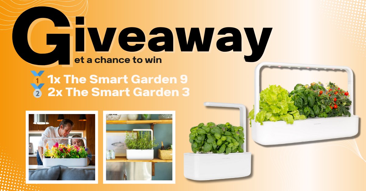 Gadget User tweet media