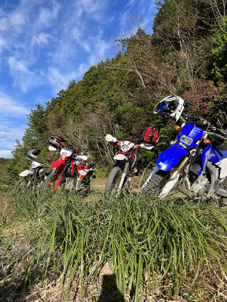11月の11、16、19のどこか
もしくは全てでオフロード楽しみませんか？
場所は参加者次第です

注　画像は参考画像です　爽やかを保証する物ではありません