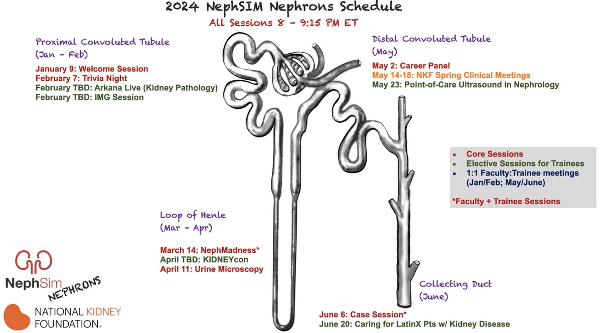 Only 1⃣ week left to submit @Neph_SIM Nephrons 2024 applications We are looking for medical students & residents interested in learning more about #nephrology, neph careers, & mentorship Apply here: nephsim.com/nephsim-nephro… #FOAMed #MedEd