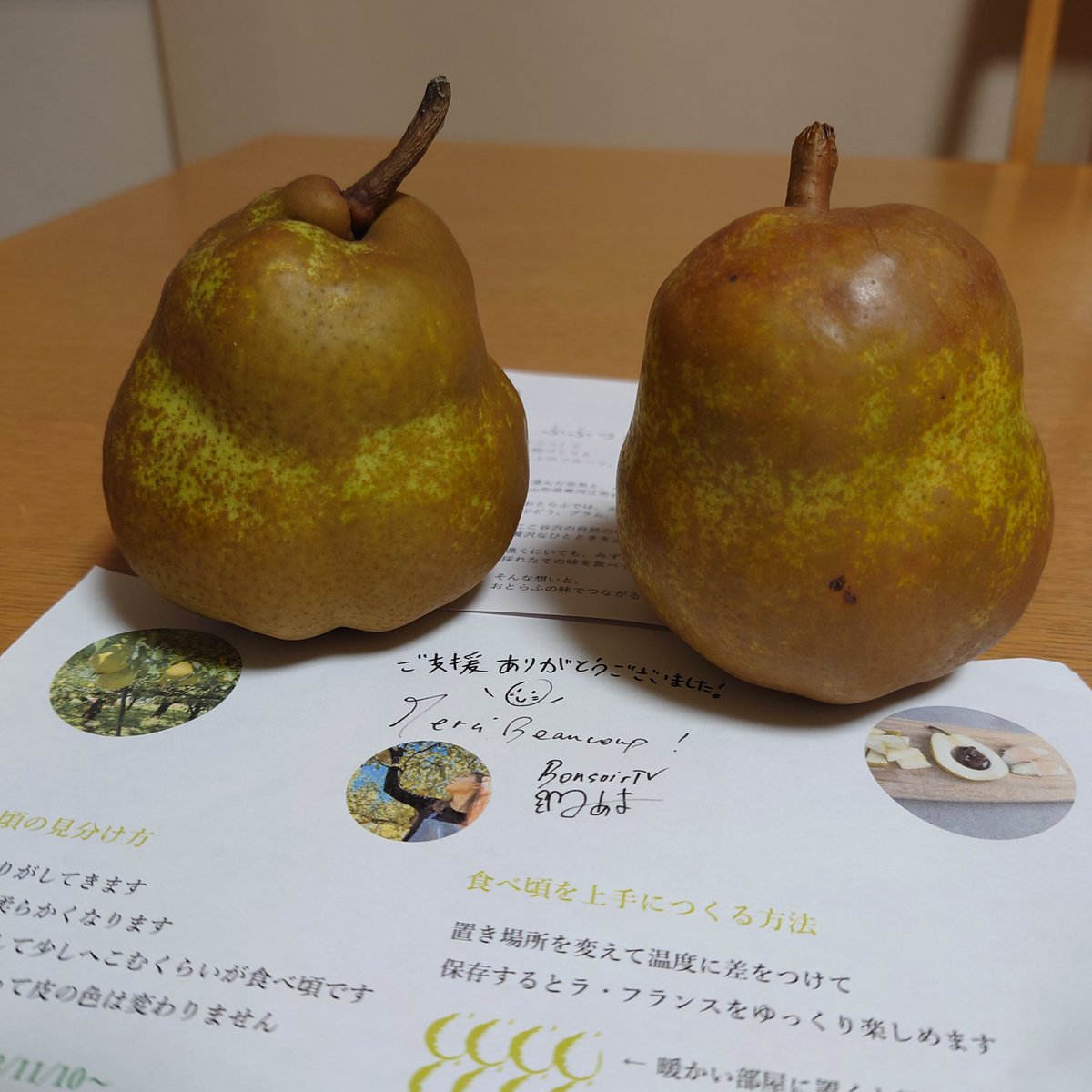 TetsuHirano's tweet photo. ラ・フランス届きました！@bonsoirtv
11/10以降が食べ頃なのでもう少し待ちます。 https://t.co/3kKYEiynAI