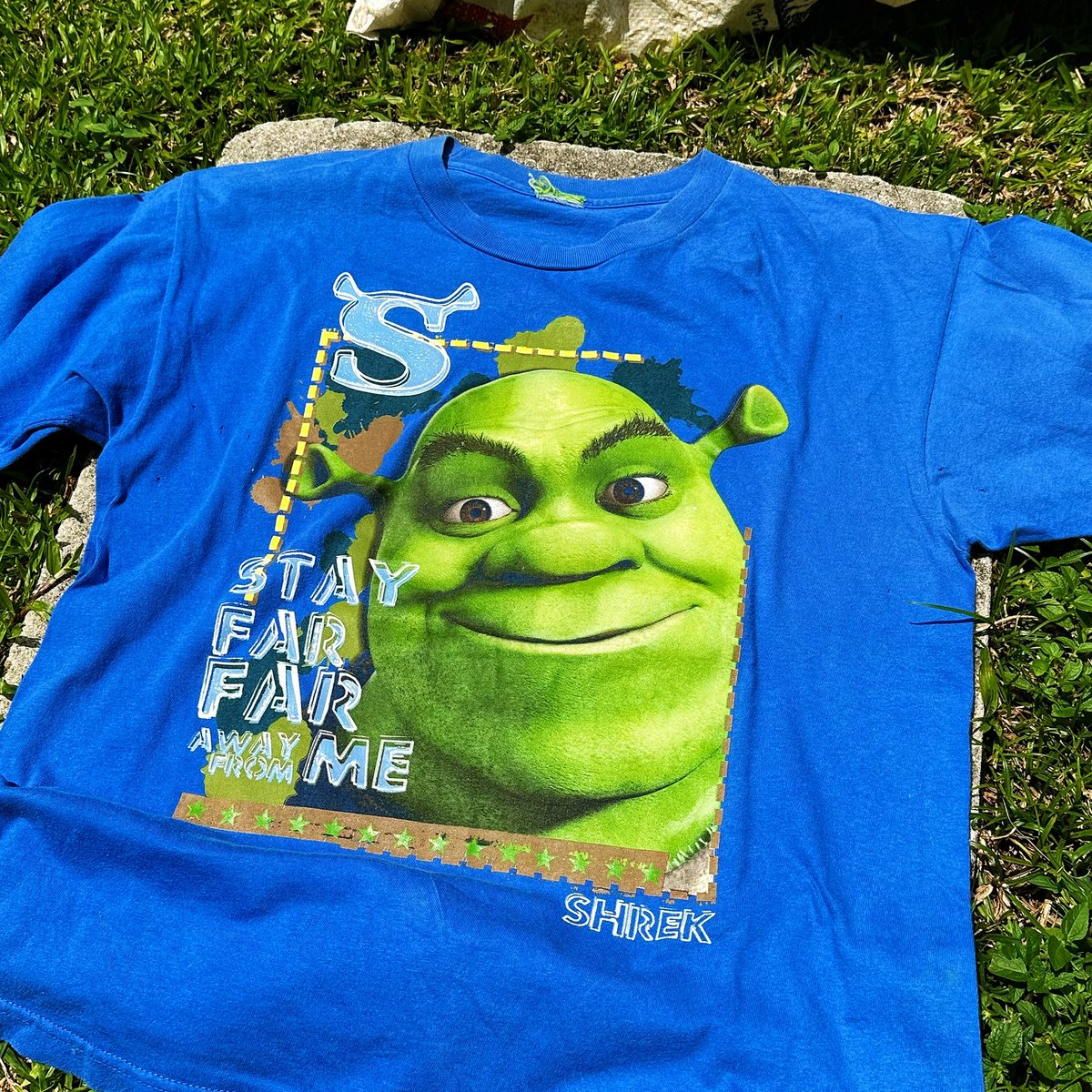 𝟎𝟎𝐬 𝐒𝐡𝐫𝐞𝐤 𝐓𝐞𝐞⁣
⁣
#vintage #loopgarms #shrek #shrekisloveshrekislife #shrekmemes #vintagetee