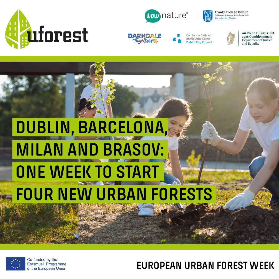 Promoted by the #Uforest project, the #EuropeanUrbanForestWeek will take place in the first week of December 2023. 4 major European cities (#Dublin, #Milan, #Barcelona and #Brasov) will launch 4 innovative projects to create new urban green spaces and improve the quality of life.