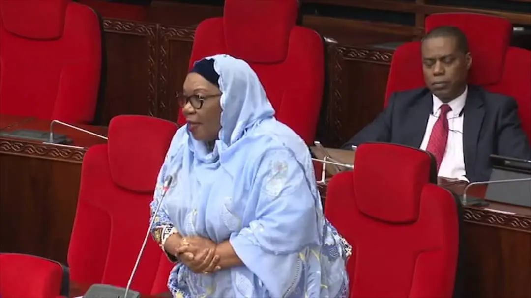 "I wish the government would prioritize the National Multi-Sectoral Early Childhood Development Programme that was prepared by the government for the years 2021/22 and continues until 2025/26.." I urge that this issue is taken into serious consideration " emphasized Hon. Fatma.